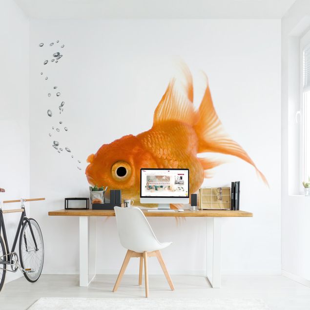 Papel pintado moderno Colourful Fish