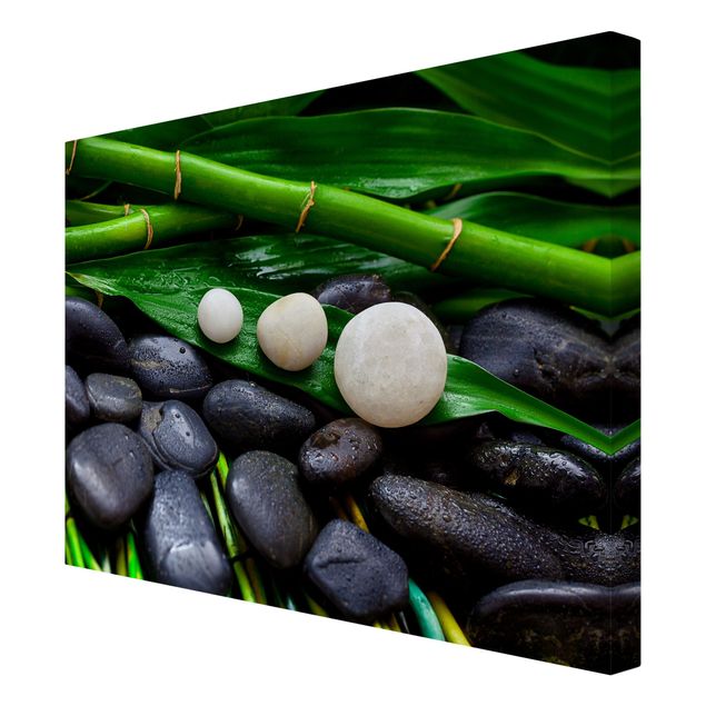 Cuadros de plantas naturales Green Bamboo With Zen Stones