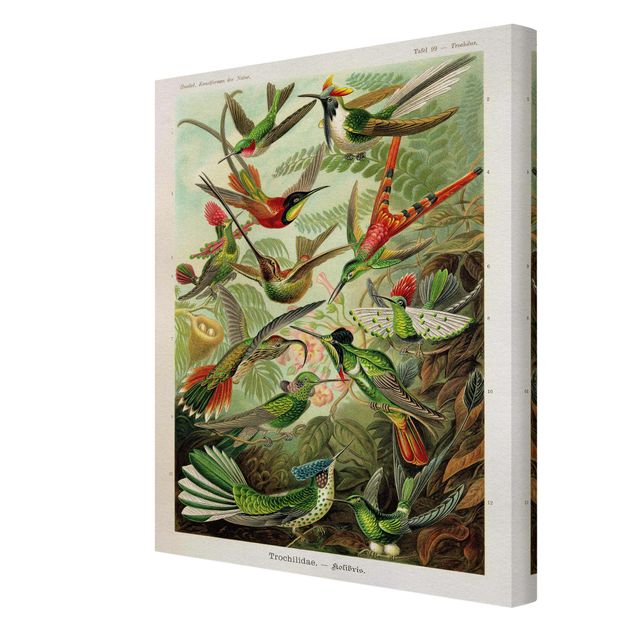 Cuadros multicolor Vintage Board Hummingbirds