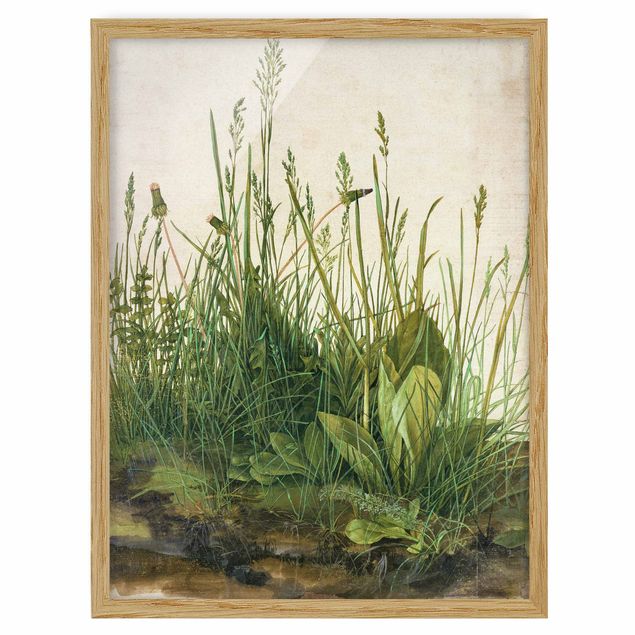 Estilos artísticos Albrecht Dürer - The Great Lawn