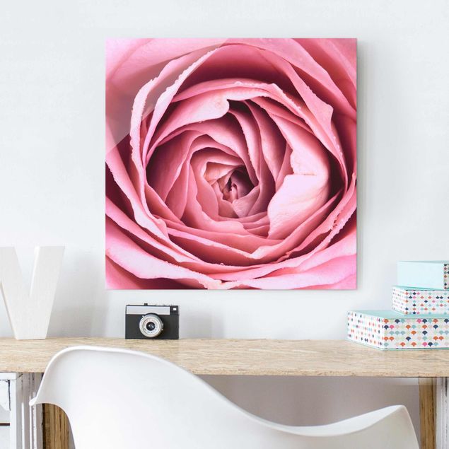 Tableros magnéticos de vidrio Pink Rose Blossom