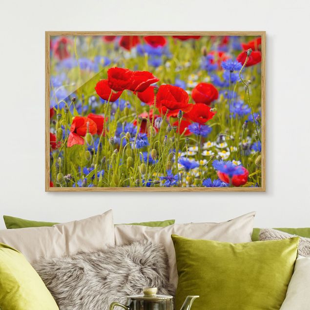 Cuadros de amapolas Summer Meadow With Poppies And Cornflowers