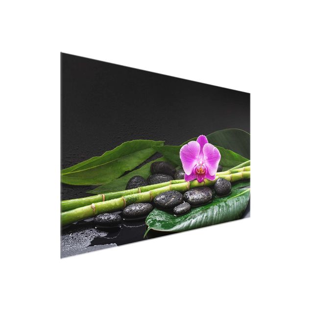 Cuadros bambú decorativos Green Bamboo With Orchid Flower