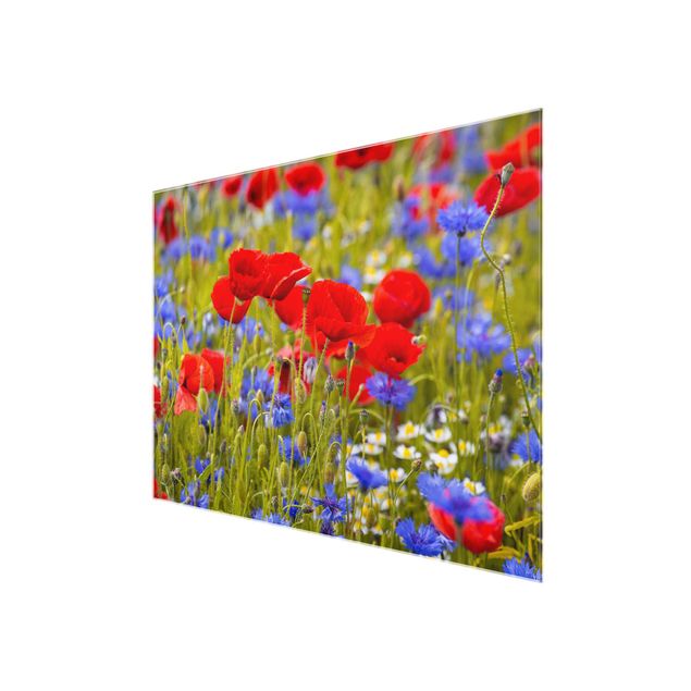 Cuadros de flores Summer Meadow With Poppies And Cornflowers