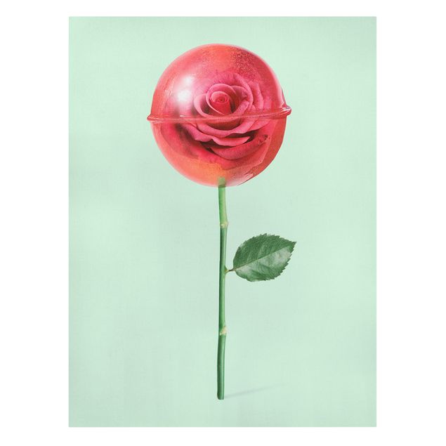 Cuadros flores Rose With Lollipop