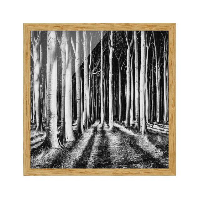 Pósters enmarcados en blanco y negro Spooky Forest