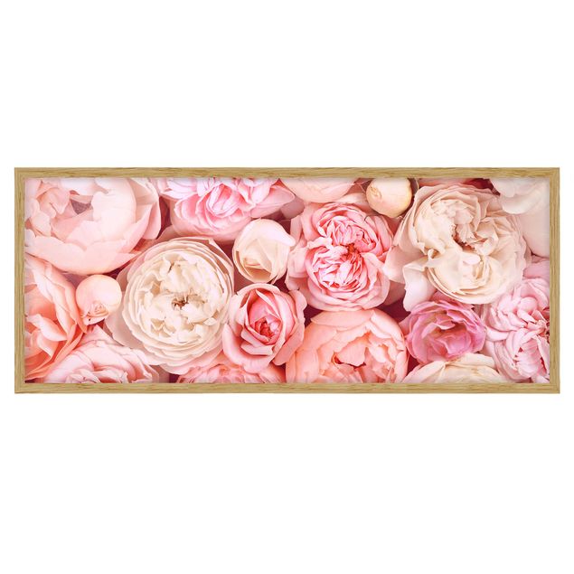 Cuadros de flores Roses Rosé Coral Shabby