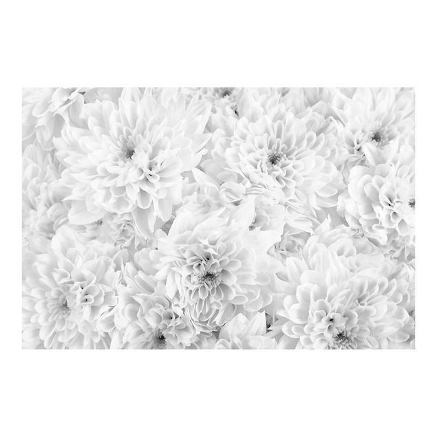 Papel pintado Dahlia Close-up Black And White
