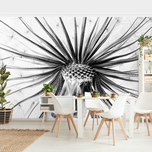 Papel pintado salón moderno Dandelion Close-up Black And White