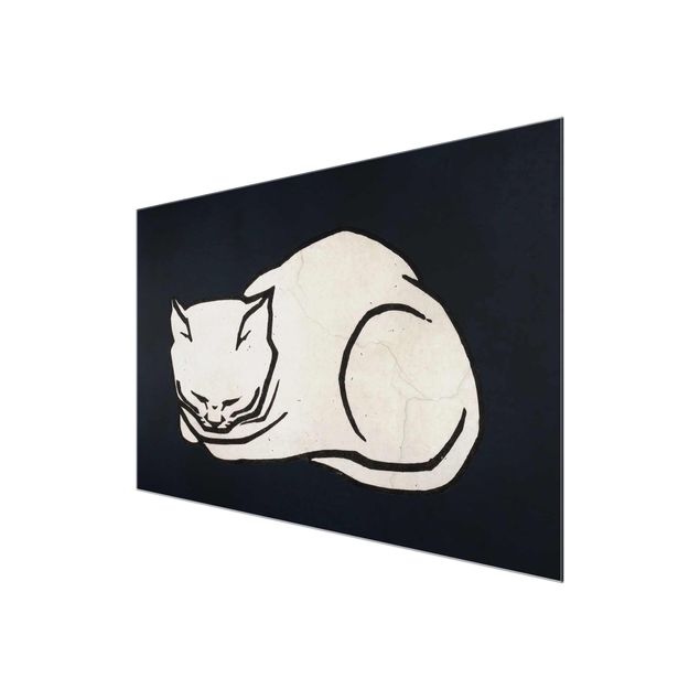 Cuadros a blanco y negro Sleeping Cat Illustration