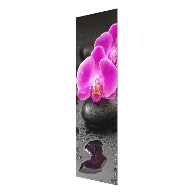 Cuadros flores Pink Orchid Flower On Stones With Drops