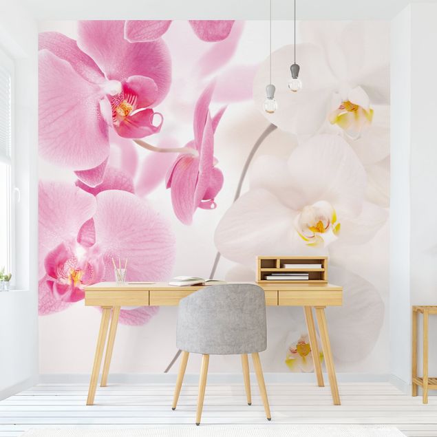 Papeles pintados modernos Delicate Orchids