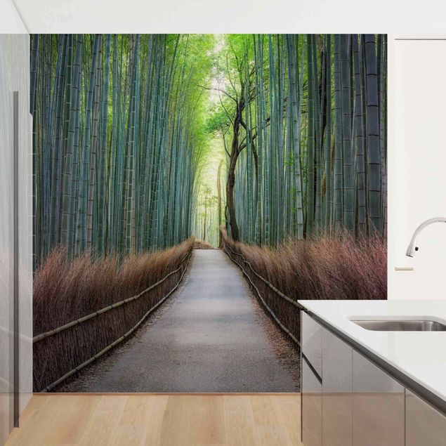 Papel pintado paisajes The Path Through The Bamboo
