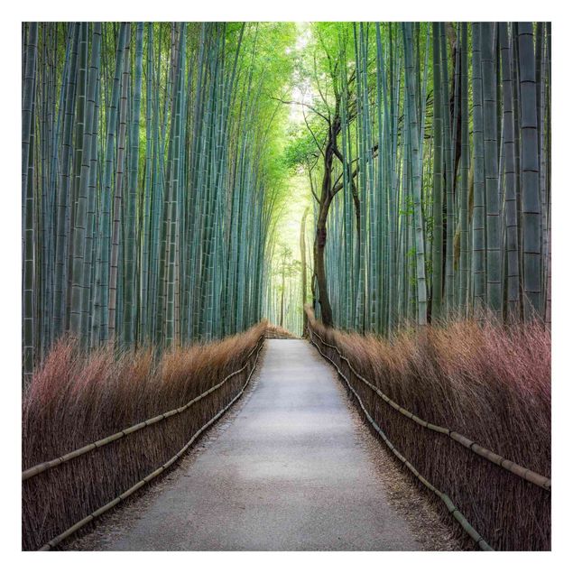 Papel pintado The Path Through The Bamboo