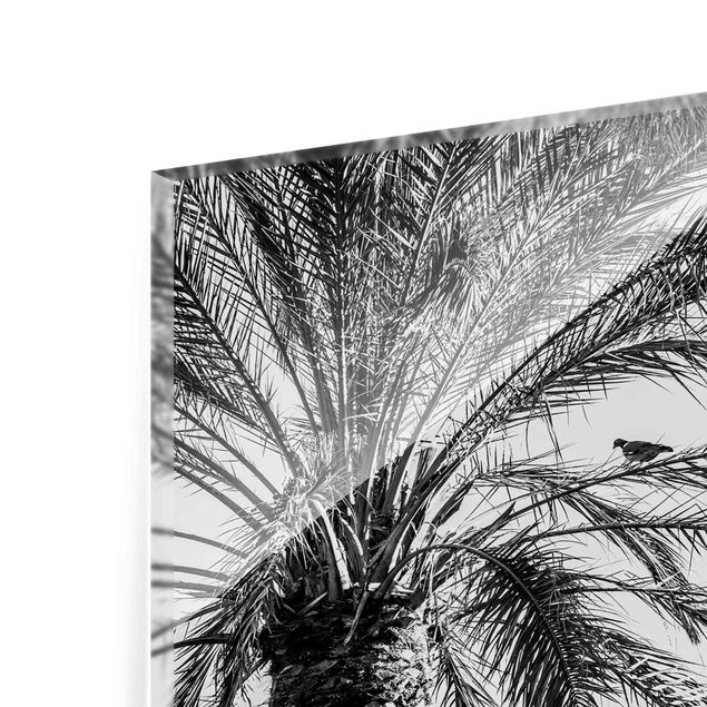 Cuadros a blanco y negro Palm Trees At Sunset Black And White
