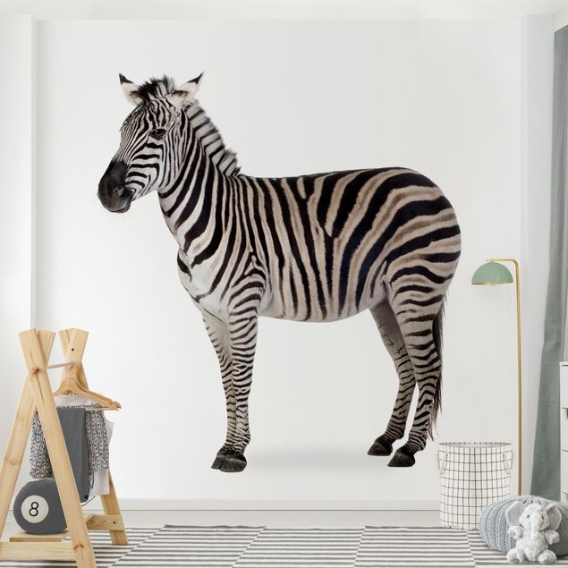 Papel pintado cebra Big Zebra