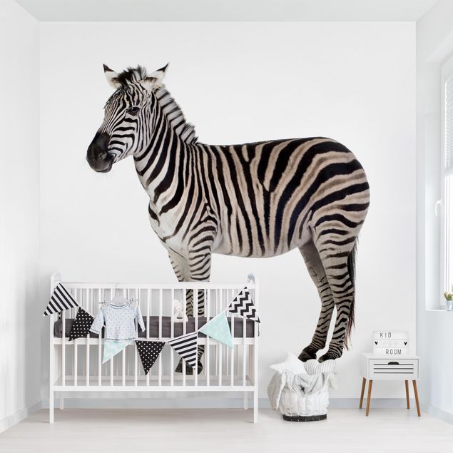 Papel pintado salón moderno Big Zebra