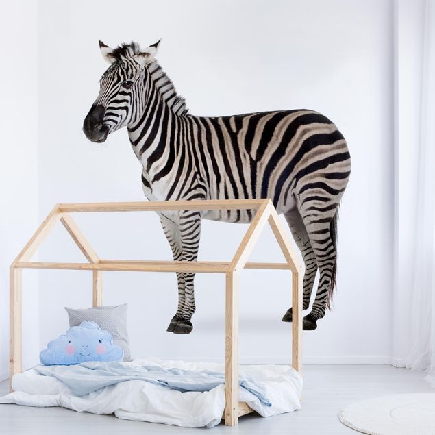 Papel pintado infantil animales Big Zebra