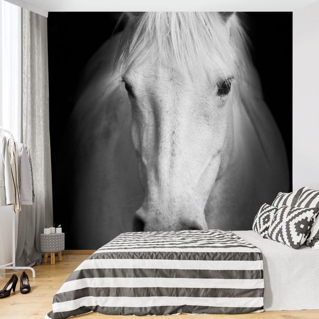Papel pintado salón moderno Dream Of A Horse