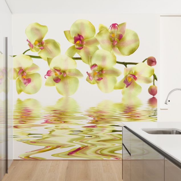 Papel pared flores Dreamy Orchid Waters