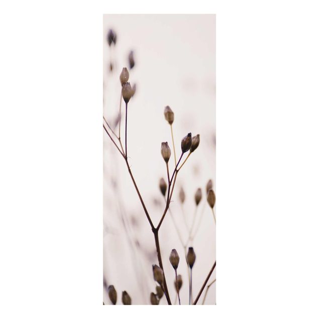 Cuadros de Monika Strigel Dark Buds On Wild Flower Twig