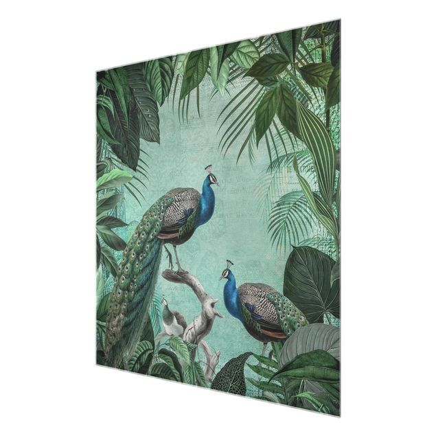 Cuadros Haase Shabby Chic Collage - Noble Peacock