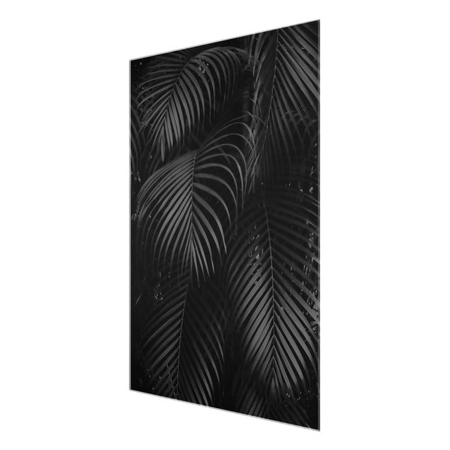 Cuadros Haase Black Palm Fronds