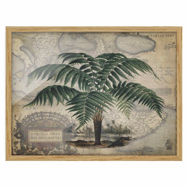 Pósters enmarcados de mapamundi Vintage Collage - Palm And World Map
