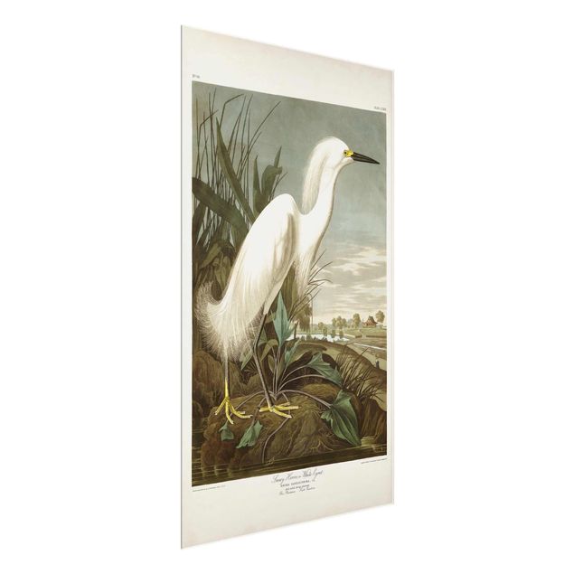 Cuadros marinos Vintage Board White Heron I