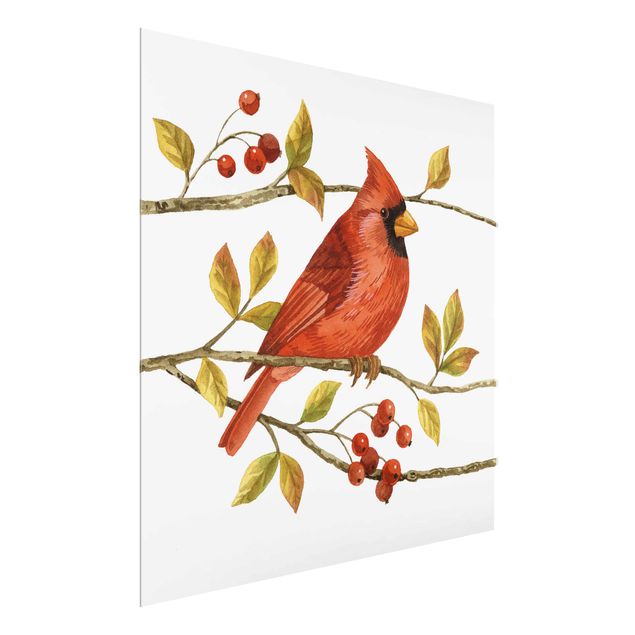 Cuadros retro Birds And Berries - Northern Cardinal