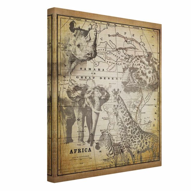 Lienzos de cebras Vintage Collage - Africa Wildlife