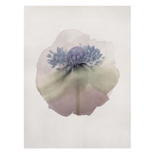 Cuadros WaterColours - Anemone In Violet
