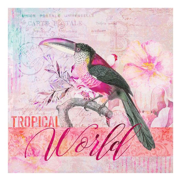 Cuadros Haase Vintage Collage - Tropical World Tucan