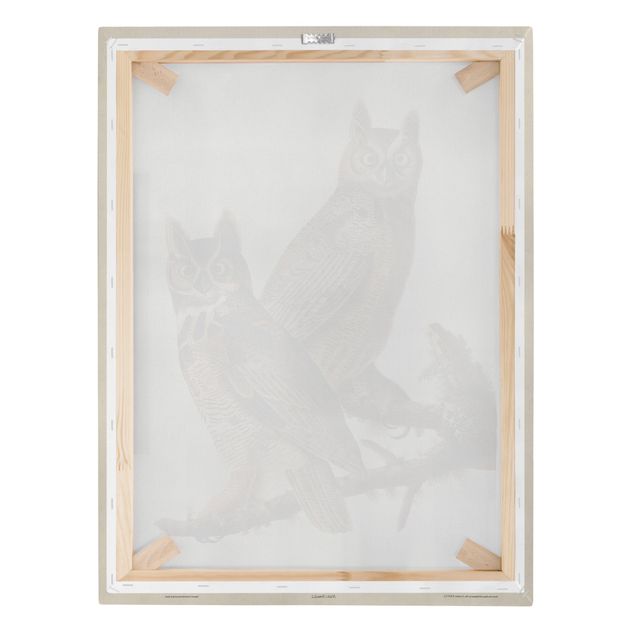 Cuadros modernos Vintage Board Two Large Owls