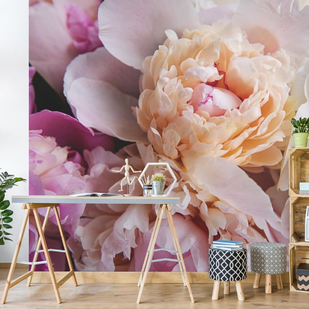 Papel pared flores Blooming Peonies