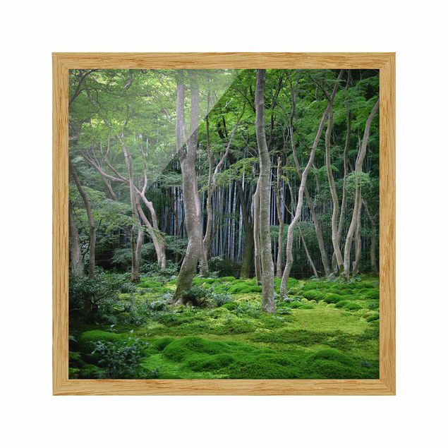 Pósters enmarcados de paisajes Japanese Forest