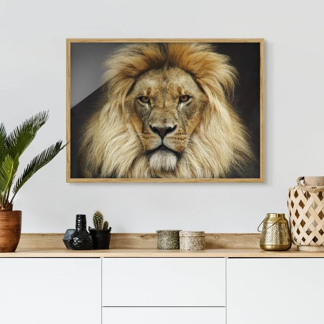 Cuadro de león Wisdom Of Lion