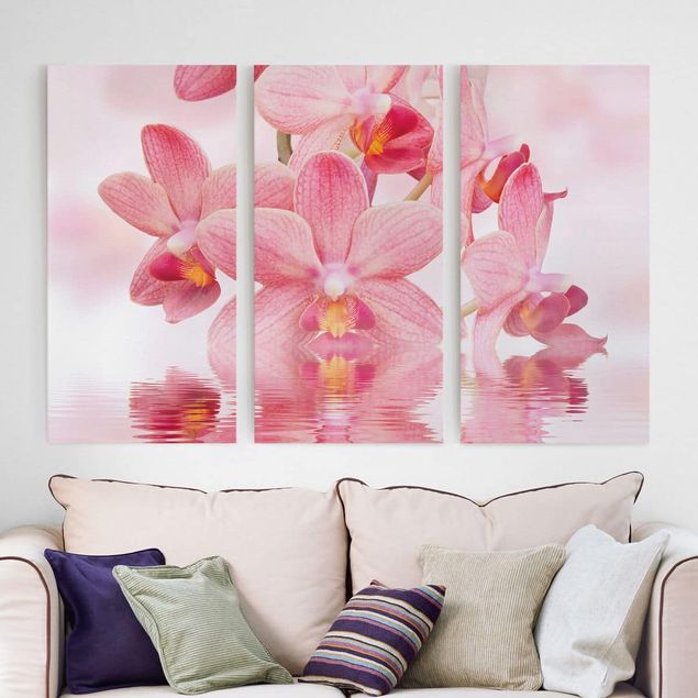 Cuadros con orquideas Light Pink Orchid On Water