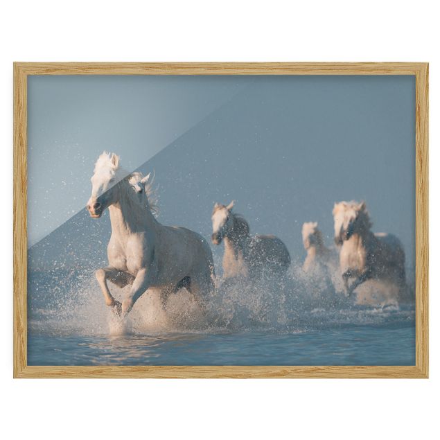 Cuadros abstractos para salón Herd Of White Horses
