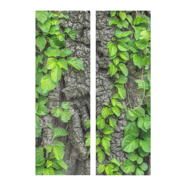 Cuadro con paisajes Ivy Tendrils Tree Bark