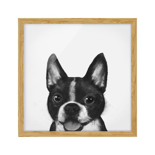 Pósters enmarcados de animales Illustration Dog Boston Black And White Painting