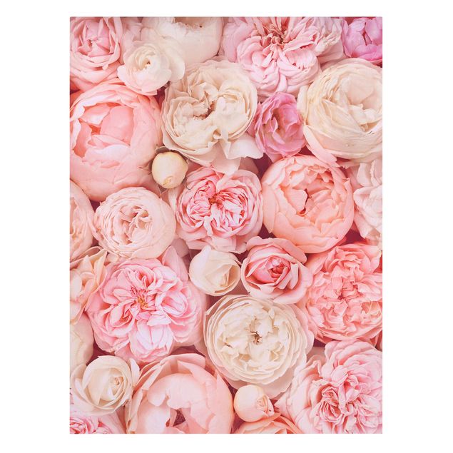 Cuadros flores Roses Rosé Coral Shabby