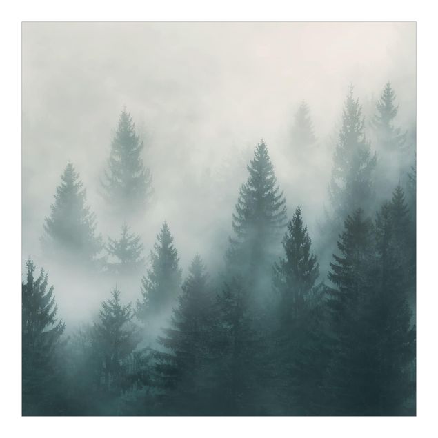 Papeles pintados Coniferous Forest In Fog