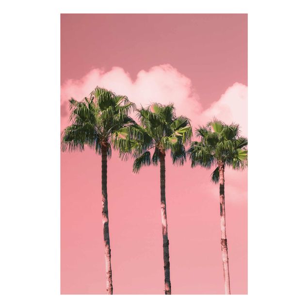 Cuadros flores Palm Trees Against Sky Pink