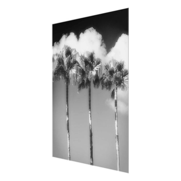 Cuadros modernos blanco y negro Palm Trees Against The Sky Black And White