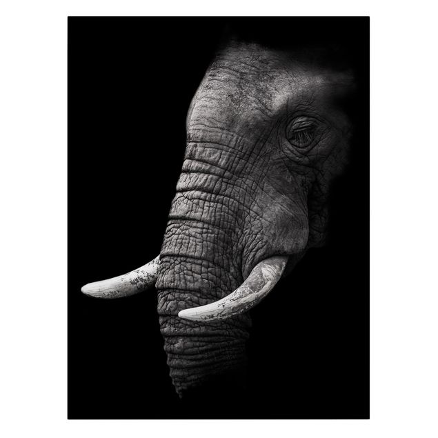 Lienzos blanco y negro Dark Elephant Portrait