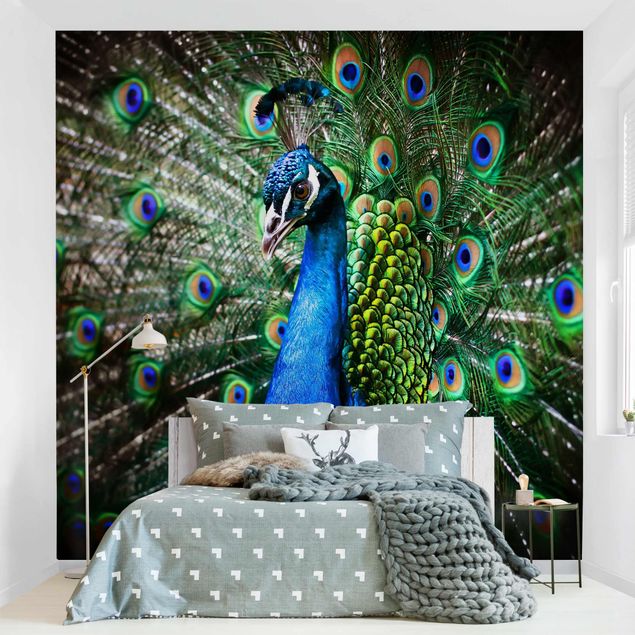 Papel pintado aves Noble Peacock