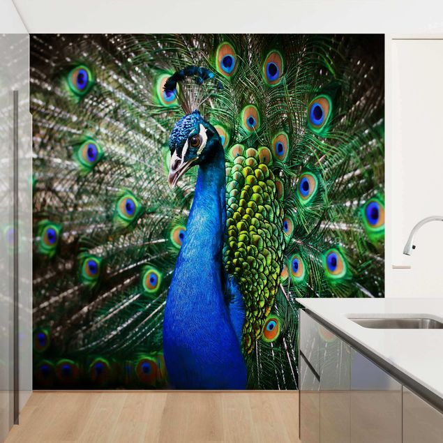 Papel pintado salón moderno Noble Peacock