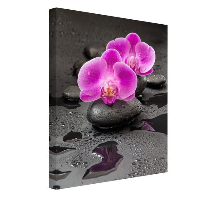 Lienzos efecto piedra Pink Orchid Flower On Stones With Drops