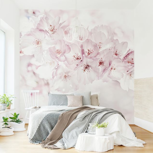 Papel pared flores A Touch Of Cherry Blossoms